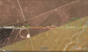 Image result for Trichoneura schlechteri