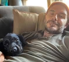 With Ellen Smith, Will Smith's Sister at The Smith Mansion. HUGS TO YOU!!  This very message is a little hug. Hugs tell us many things; that we are  loved, that we are