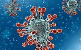 The delta plus variant of the novel coronavirus. Explained What Is The Delta Plus Variant The Hindu