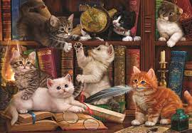 anatolian 500 parca kediler ve kitaplar puzzle 48x33 cm