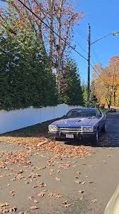 Image result for Spinnaker White 1973 Fury