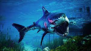 Check spelling or type a new query. 4k Shark Wallpapers Kolpaper Awesome Free Hd Wallpapers