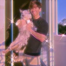 Albert Albertsstuff Instagram Photos And Videos Flamingo Pictures Funny Flamingo Flamingo Photo