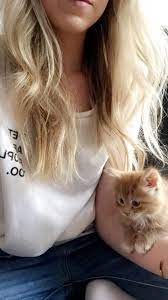 Itty Bitty Kitty Kitty Itty Bitty Bitty