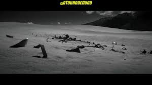 Touro De Ouro On Twitter Que Venha 2020 Meu Video De Agradecimento Para Os Novatos E Os Profissionais Da Fintwit De 2019 Da Aquele Rt Para O Tourinho Bate