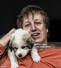 87 Great Pyrenees Puppy Stock Photos, High-Res Pictures, and Images