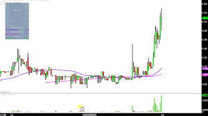 Tenax Therapeutics Inc Tenx Stock Chart Technical Analysis For 10 06 17