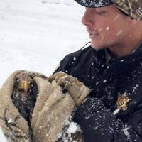Group rescues bald eagle