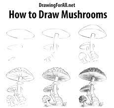 How To Draw Mushrooms Mushroom Drawing Realistic Drawings Nature Drawing