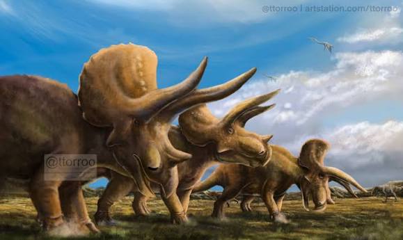 Triceratops trying to protect the herd by ttorroo