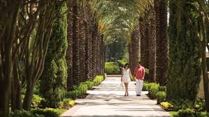 Orlando landscape designs | as one of the country's top contemporary landscape designers, our team can give you the ultimate outdoor space showcasing your unique personal style. The Ultimate Luxury Experiences In Orlando Wheretraveler