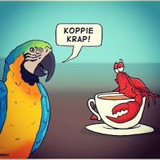 Koppie Krap Afrikaans Ideesvolvrees Fb Kobus Galloway Words Play Afrikaans Afrikaanse Quotes Funny Jokes