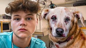 what happened to my dog max...