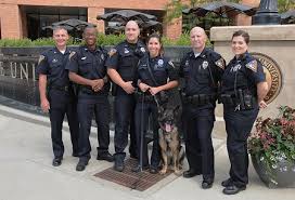 Ami Hollis (@AmiHollis)