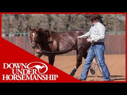 Clinton Anderson Deciding What Size Of Support Boot To Get Your Horse Downunder Horsemanship