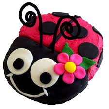 Easy Diy Ladybug Cake Kit Baby Shower First Birthday Cake Ideas