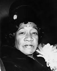 MACCEXCLUSIVES APPAREL