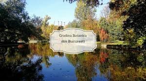 Copyright ©2021 gradina botanica iasi. Toamna La Gradina Botanica Surorile Calatoare