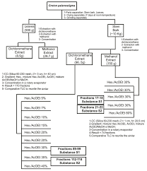 Image result for Croton steenkampianus