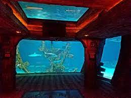 We Are Thankful For Shark Reef Aquarium At Mandalay Bay Facebook