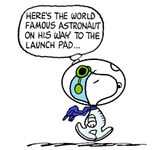 Pin By Carleen Sieggreen On Snoopy Snoopy And Woodstock Snoopy Images Snoopy