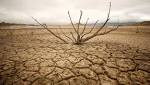 global water crisis, climate change