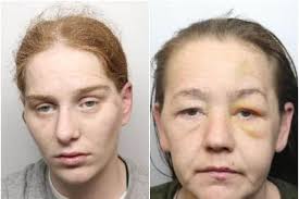 South Yorkshire cop bitten as two female burglars arrested