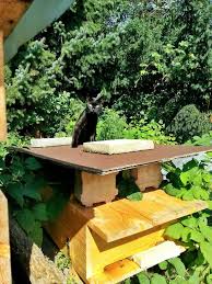 40 Reizend Bienen Im Garten Check More At Https Www Opticrhythm Com Bienen Im Garten Garten Bienen Halten Garten Ideen