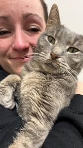 We went to the vet this week for our check up all is good with Ollie and he  has lost 6lbs. Way to go Ollie!!! I know it's not easy. He loves