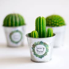 Directo a lp para un cumple virtual. Velas Cactus Para Invitados A Boda Regalos Personalizados Regalos De Boda Para Invitados Detalles Boda Invitados Boda Cactus