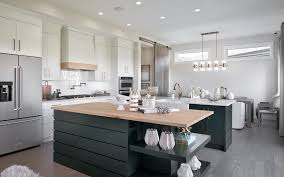 Your kitchen looks almost identical to my aunts kitchen at her cottage, complete with forest green cabinets, a donvier ice cream the simplicity is gorgeous! Stylish Conference Call Backgrounds