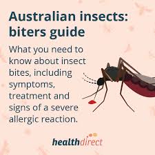 Image result for mosquito bite