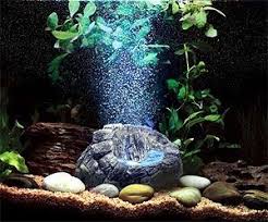 Unique Fish Tank Decorations Aquatics Warehouse Uk Onamental Airation Lights Unique Fish Tanks Aquarium Fish Tank Betta Fish Tank