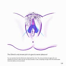 Try applying both clitoral and internal stimulation in the same time, while keeping your focus inside. Clitoris 3d Anatomy Of Pleasure Female