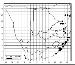 Image result for Cnestis