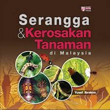 Tanda atau simptom serangan lalat buah pada buah cili kulai 568. Serangga Kerosakan Tanaman Di Malaysia Upm Press