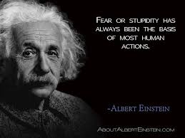 The other is as though everything is a miracle.', and 'i am enough of an artist to draw freely upon my imagination. Fear Or Stupidity Has Always Been The Basis Of Most Human Actions Albert Einstein To E Mulder Ap Einstein Albert Einstein Albert Einstein Love Quotes
