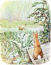 Peter Sees The Garden Gate Beatrix Potter Metal Print By Forgottenbeauty Beatrix Potter Beatrix Potter Illustrations Illustration