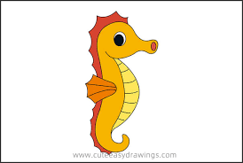How to draw a cute seahorse. How To Draw A Seahorse Cute Easy Drawings