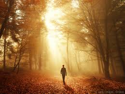 O plano de Deus não é predestinação