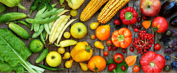 The good dieting doesn't have to mean depriving. Is The Dash Diet Effective Opex Fitness