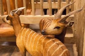 How Many Animals Were On Noah S Ark The Ark Encounter Noah S Ark Museum Ark