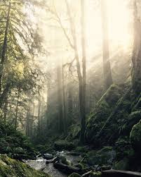 Maybe you would like to learn more about one of these? Cascadia State Park Linn County Parks Recreation