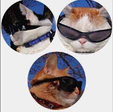 Ø§ÙØªØ§Ø±Ø§Øª Best Friends Cartoon Cute Profile Pictures Funny Profile Pictures Cats are grabbed and returned via the following api: friends cartoon cute profile pictures