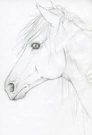 Draw Pattern Horse Head By Silken Deviantart On Deviantart Codesign Magazine Daily Updated Magazine Celebrating Creative Talent From Around The World Horse Art Drawing Easy Horse Drawing Horse Drawings