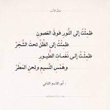 شعر الشابي ظمئت إلى النبع بين المروج عالم الأدب Quran Quotes Inspirational Islamic Quotes Quote Aesthetic