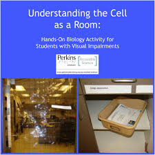 This is achieved because only the young, smaller, heap is. Cell Activity Room As A Cell Perkins Elearning