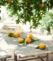 Colorful Life Table De Jardin Jardins Agrumes