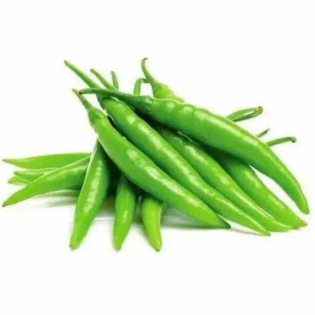 Sitara Sitara Green G4 Chilli - Fresh A Grade, 12mm Length for Culinary Use, Cool and Dry Storage - Fresh A Grade, 12mm Length For Culinary Use, Cool And Dry Storage at