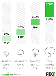 Taller trees are more costly to remove. 2021 Tree Removal Cost Cost To Cut Down A Tree